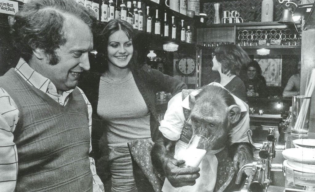 Foto: Im Mai 1974 hatte der Big-Ben-Wirt Andre Beitner einen besonderen Besuch. Schimpanse Palma,  ein Star des Zirkus Krone, der damals auf der Pfingstwiese gastierte, testete das Bier. Damals auch sehr zur Freude von Heike Hölzgen, der Gastgeberin der Revivalparty am Mittwoch. Foto: Sammlung Steffen Kaul