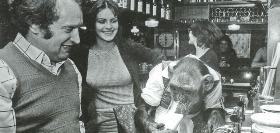 Foto: Im Mai 1974 hatte der Big-Ben-Wirt Andre Beitner einen besonderen Besuch. Schimpanse Palma, ein Star des Zirkus Krone, der damals auf der Pfingstwiese gastierte, testete das Bier. Damals auch sehr zur Freude von Heike Hölzgen, der Gastgeberin der Revivalparty am Mittwoch. Foto: Sammlung Steffen Kaul