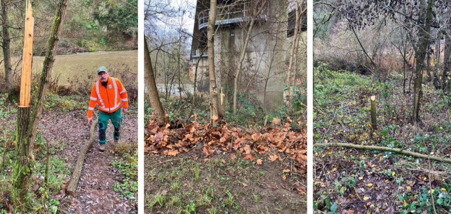 Breit für HP - 11 Breit für HP - 11