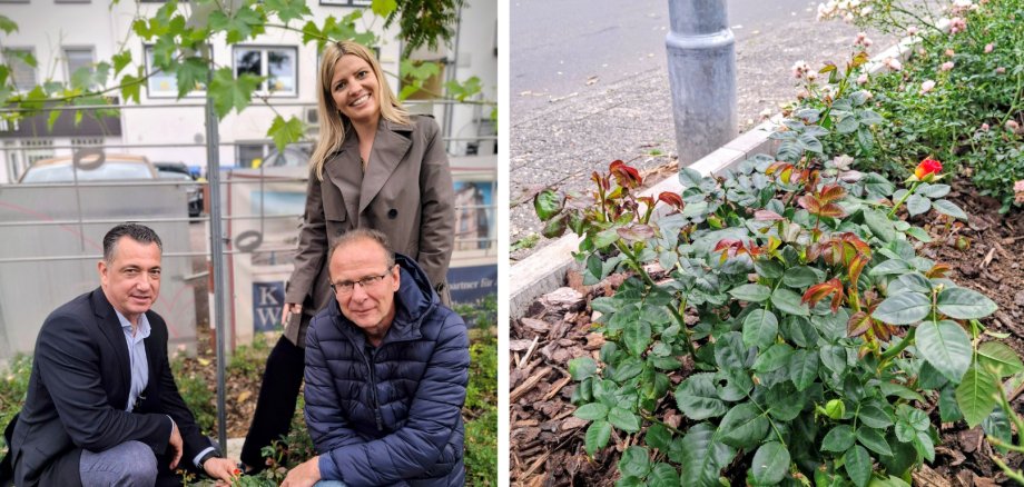 Breit für HP - 11 Breit für HP - 11