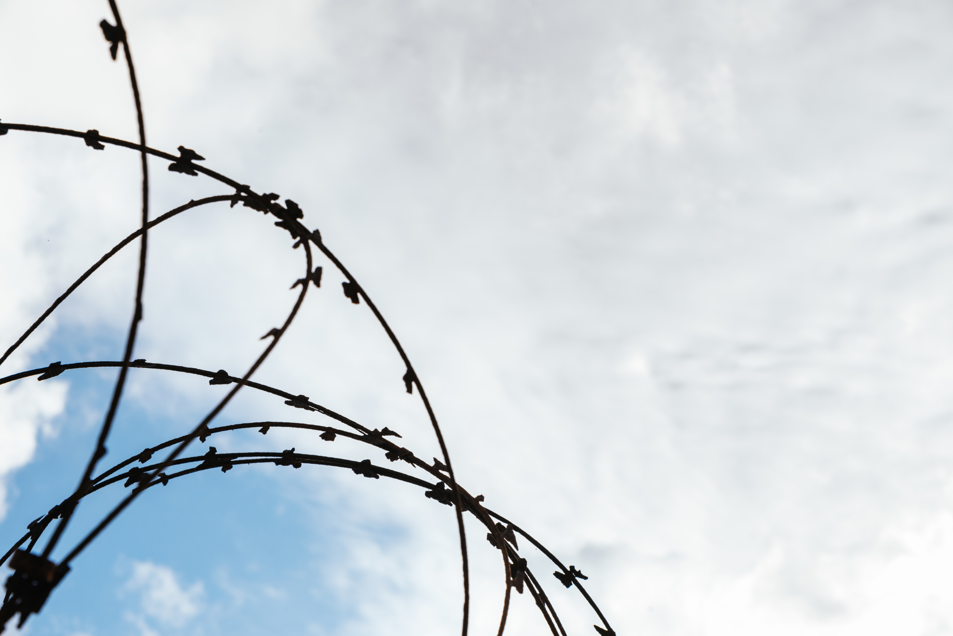 Closeup shot of barbed wire on a cloudy sky background