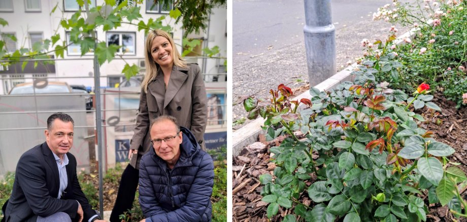 Breit für HP - 11 Breit für HP - 11