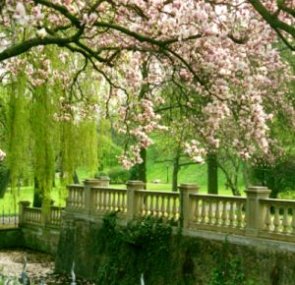 Bild: Brücke zum Schlosspark
