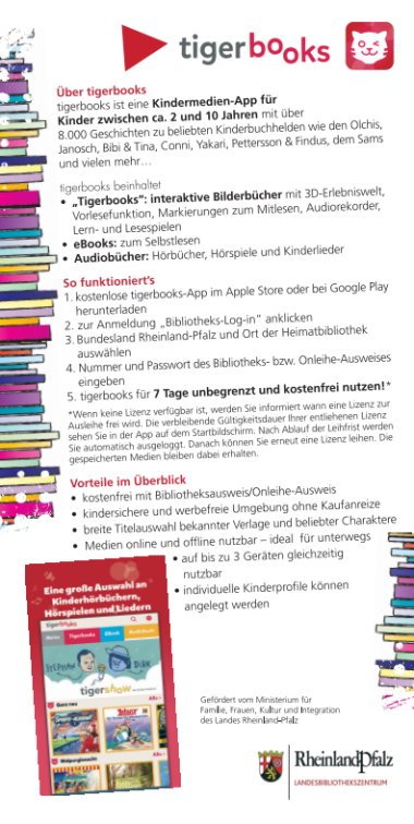 eKidz Flyer Rückseite