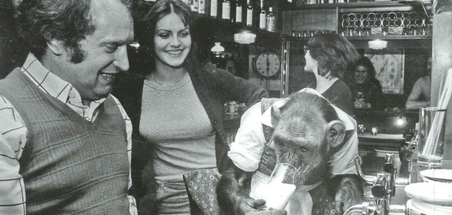 Foto: Im Mai 1974 hatte der Big-Ben-Wirt Andre Beitner einen besonderen Besuch. Schimpanse Palma,  ein Star des Zirkus Krone, der damals auf der Pfingstwiese gastierte, testete das Bier. Damals auch sehr zur Freude von Heike Hölzgen, der Gastgeberin der Revivalparty am Mittwoch. Foto: Sammlung Steffen Kaul