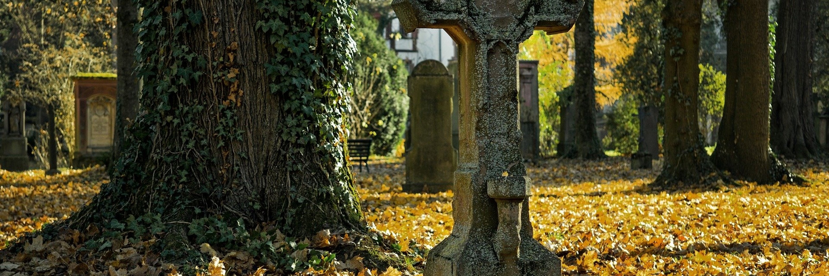 Sterbefälle | Stadt Bad Kreuznach